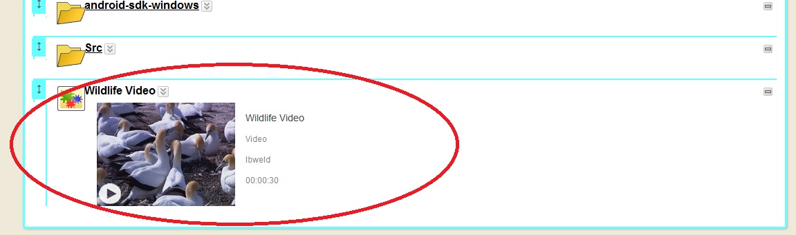 Video Appears in Course